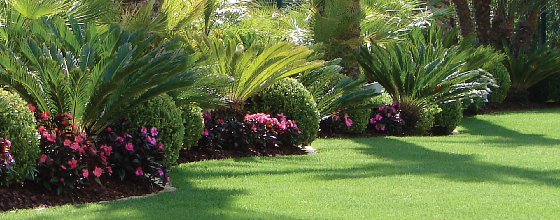Excellence in Landscaping
